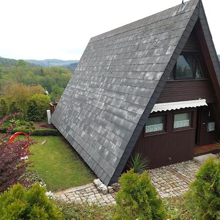Haus Am See Willingen Виллинген Экстерьер фото