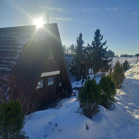 Haus Am See Willingen Виллинген Экстерьер фото