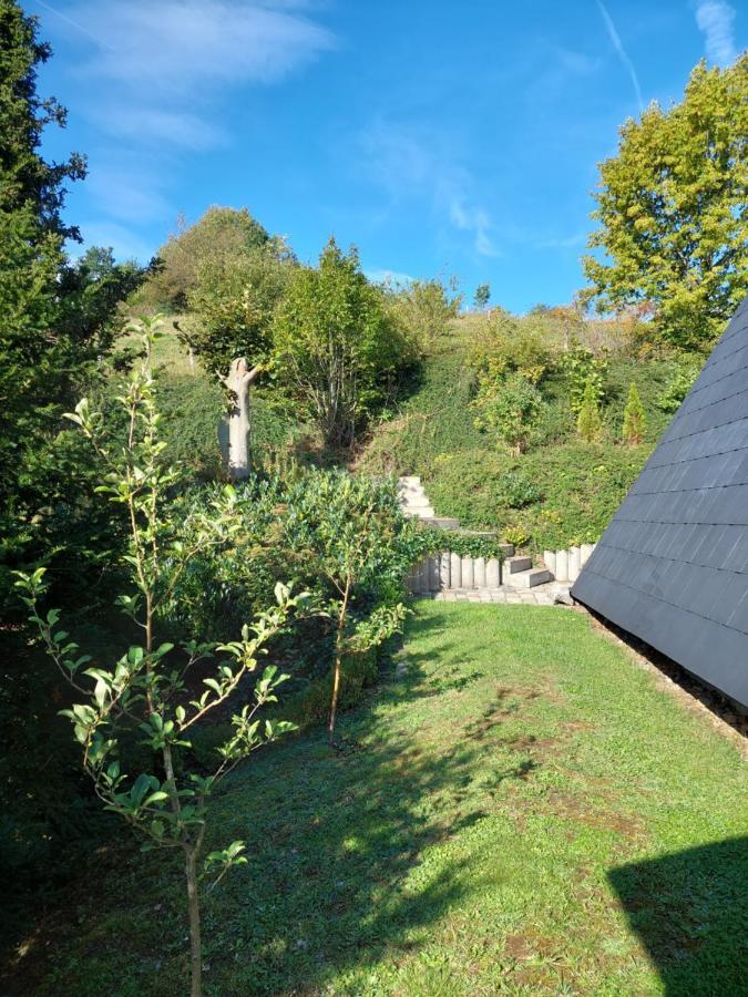 Haus Am See Willingen Виллинген Экстерьер фото