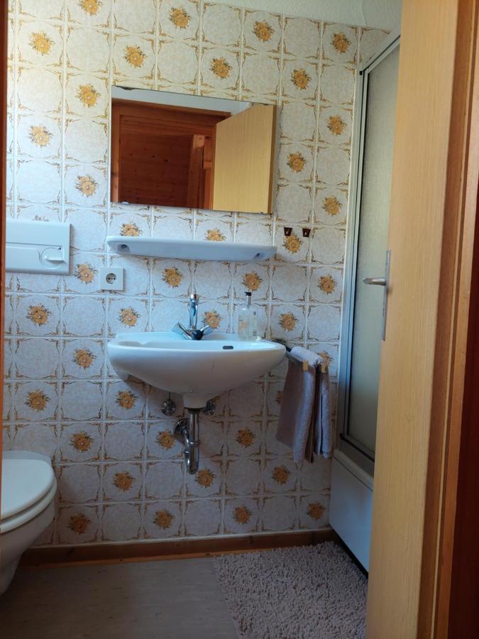 Haus Am See Willingen Виллинген Экстерьер фото