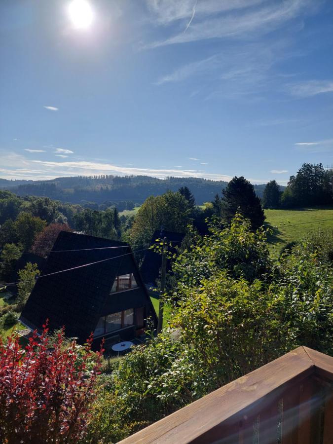 Haus Am See Willingen Виллинген Экстерьер фото