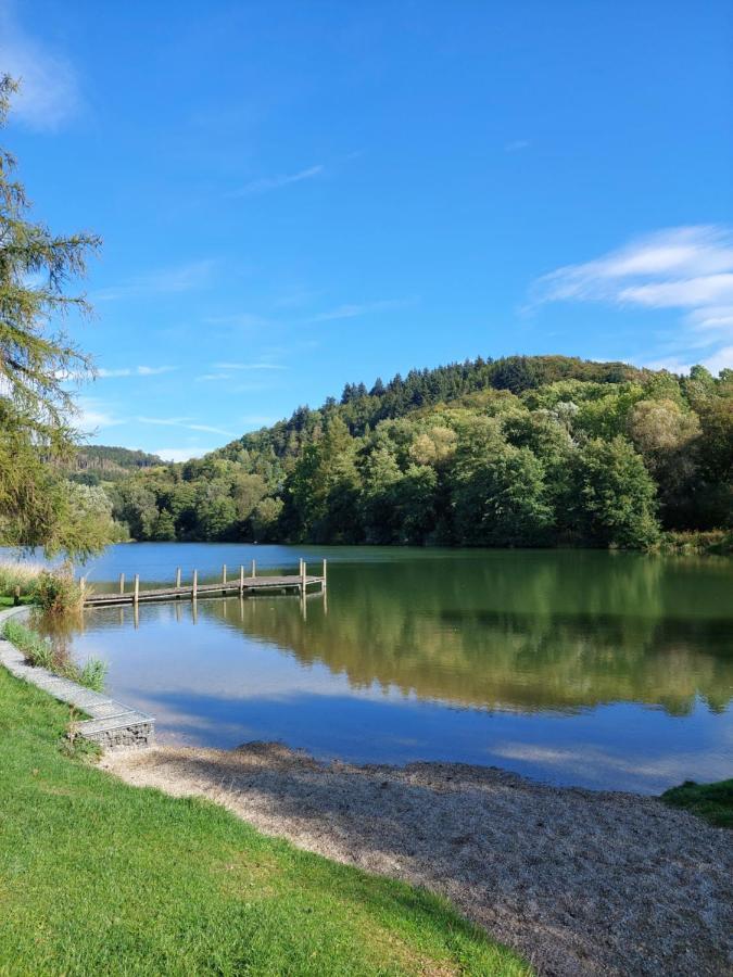 Haus Am See Willingen Виллинген Экстерьер фото