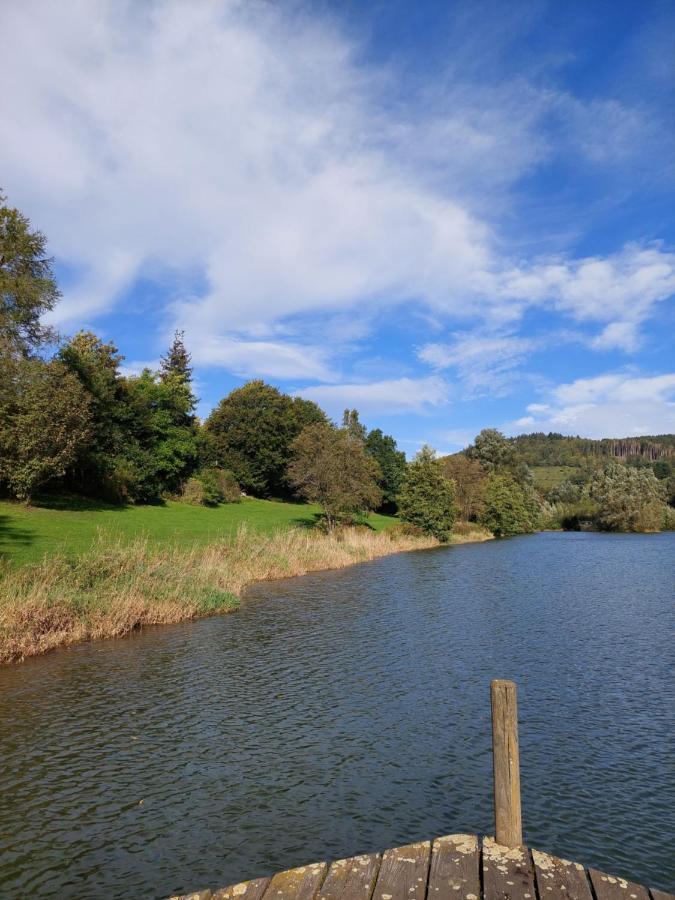 Haus Am See Willingen Виллинген Экстерьер фото