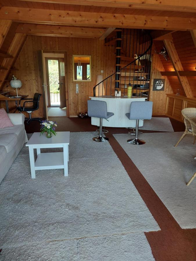Haus Am See Willingen Виллинген Экстерьер фото