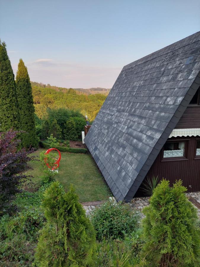 Haus Am See Willingen Виллинген Экстерьер фото