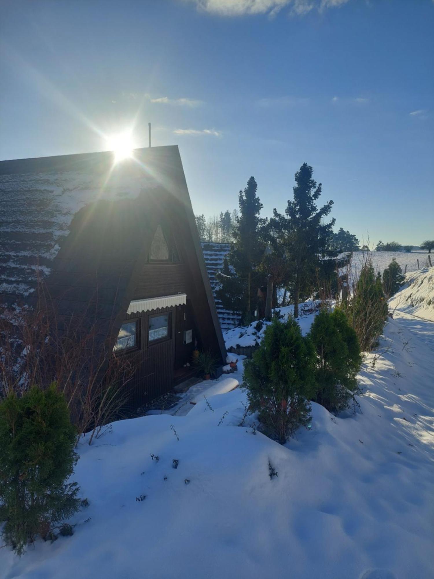 Haus Am See Willingen Виллинген Экстерьер фото